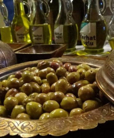 edremit-zeytinyagi-ve-yesil-cizik-zeytini-icin-cografi-isaret-basvurulari-basladi-pKlZ2HTy.jpg