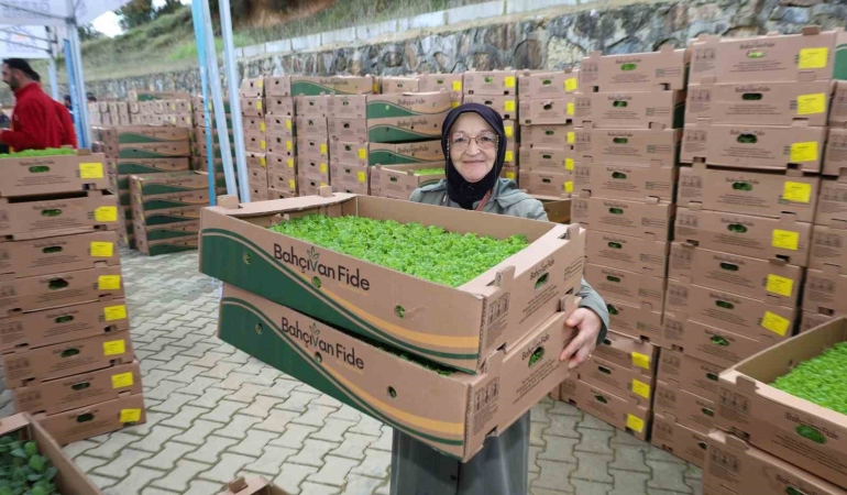 gebzeli-ciftciye-500-bin-sebze-fidesi-9iNtndzI.jpg