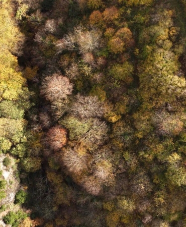 istanbulun-yani-basinda-sonbahar-rotasi-FTGhmqYb.jpg