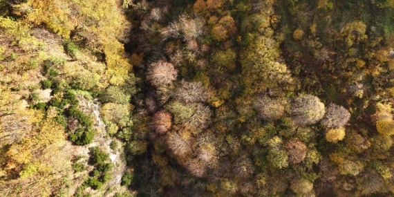 İstanbul’un yanı başında sonbahar rotası