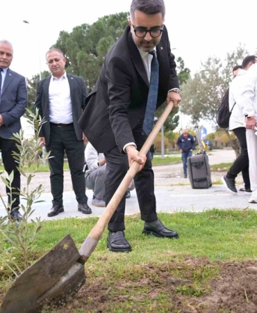 kar-spor-ida-ultra-oncesinde-zeytin-fidanlari-toprakla-bulustu-IgmIMtC2.jpg