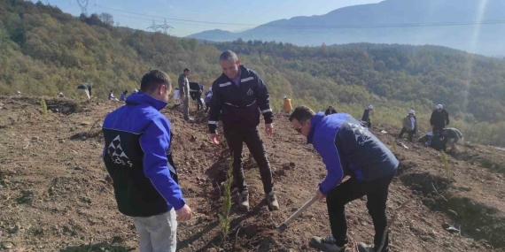 SEDAŞ, 4 ilde 500 fidanı toprakla buluşturdu