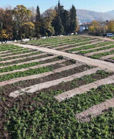 golcuke-yeni-mezarlik-alanlari-hazirlandi-IT2QeSxx.jpg
