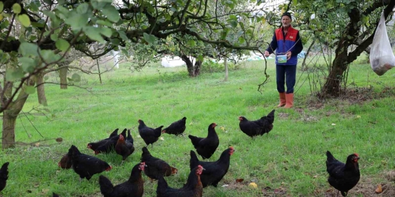 Kocaeli’de kırsal kalkınmaya “kanatlı” destek