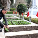 kocaelide-sehitliklerde-bakim-ve-ciceklendirme-calismasi-3qKQGhdr.jpg