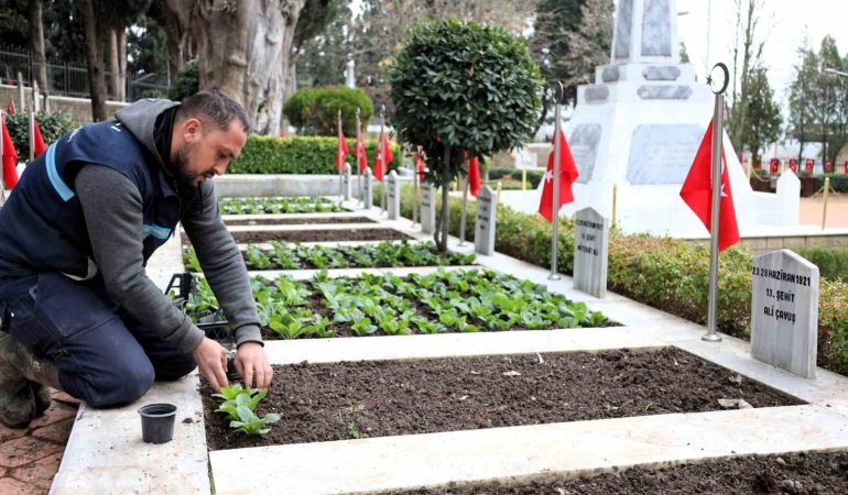 kocaelide-sehitliklerde-bakim-ve-ciceklendirme-calismasi-3qKQGhdr.jpg