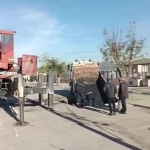 okul-bahcesinde-cokme-sonucu-cukura-dusen-kamyon-vincle-cikarildi-dSX2Vr9b.jpg