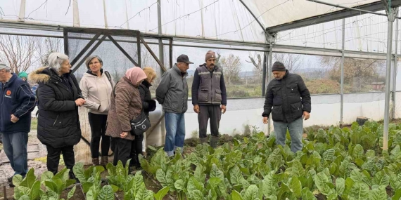 “Saygınlar Kulübü” üyeleri serada hasat yaptı